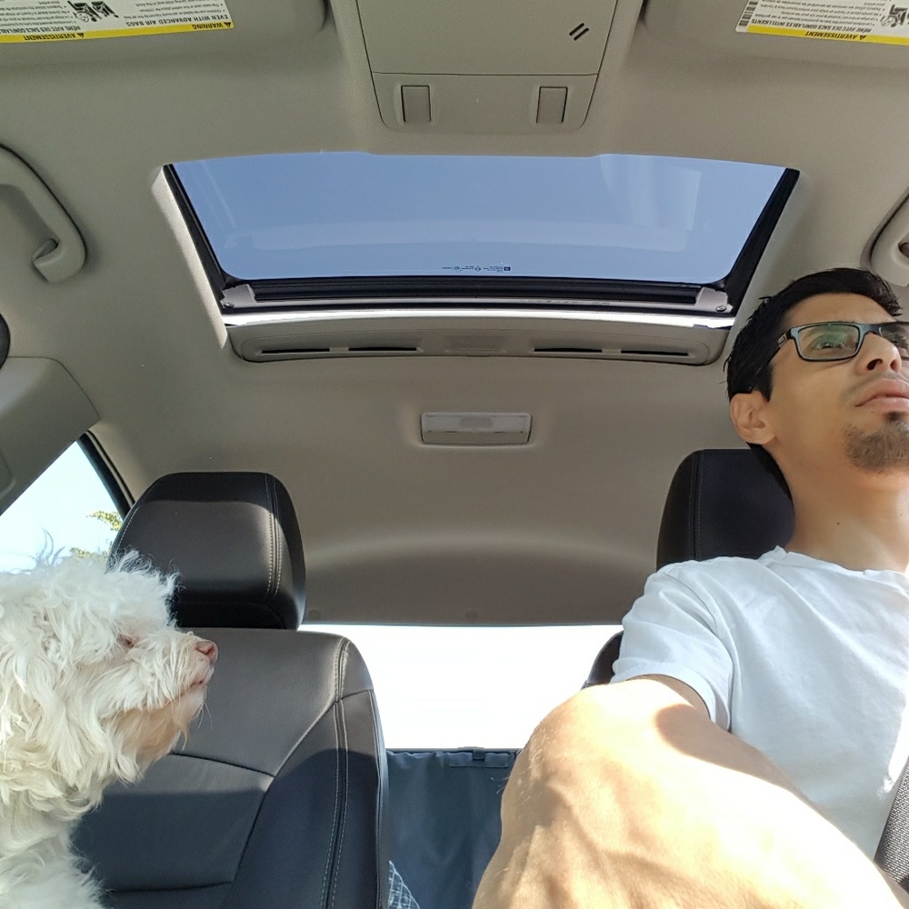 Meet your Posher, Santos